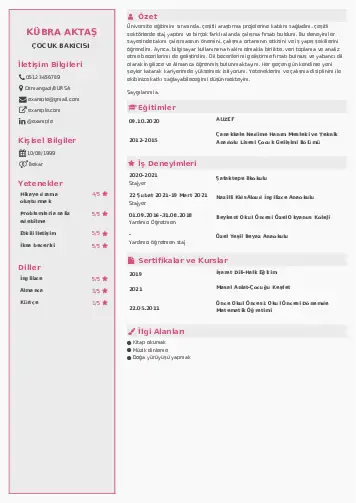 Çocuk Bakıcısı CV Örnekleri cv indir